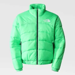 The North Face Doudoune à Isolation Synthétique 2000 Pour Homme
