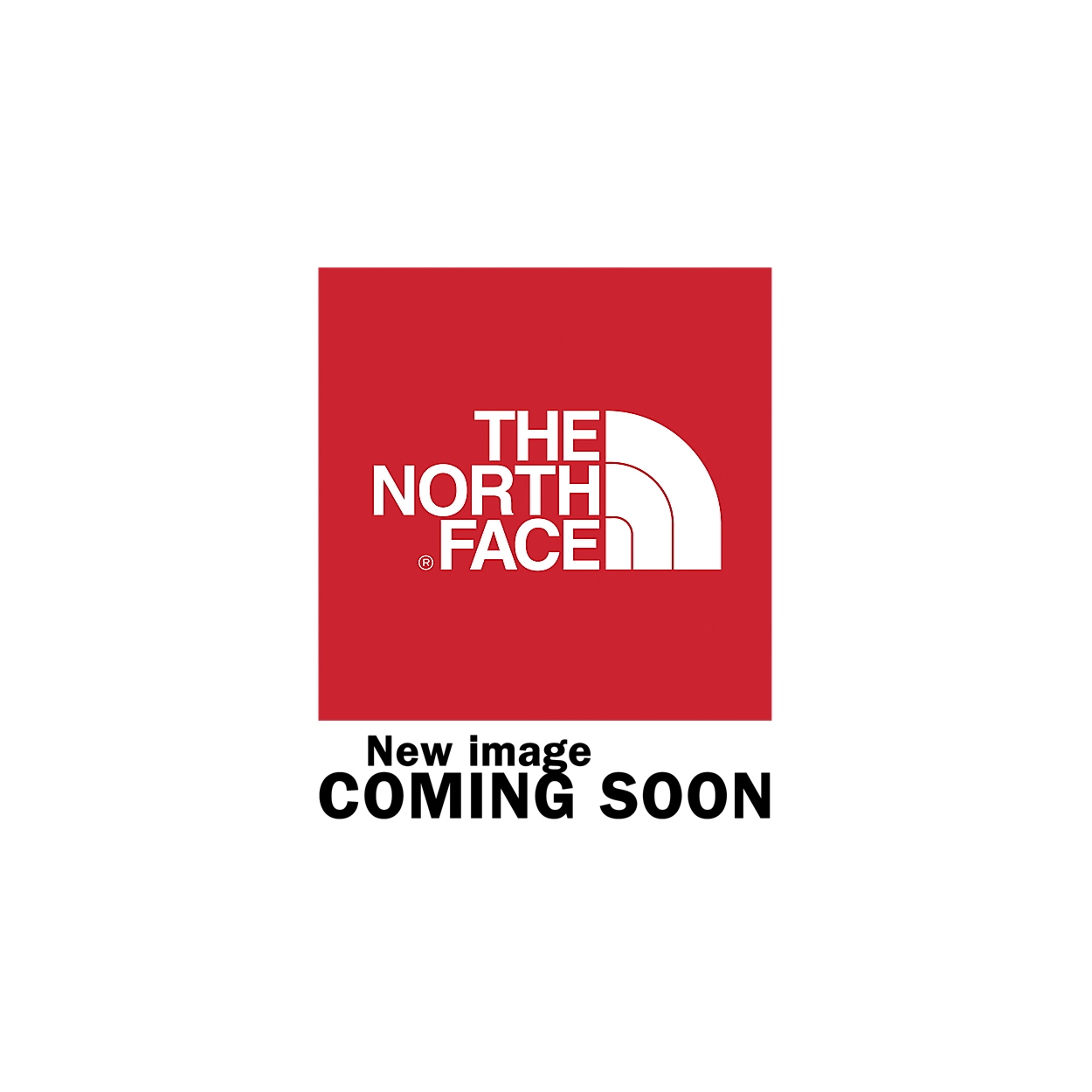 The North Face Pantalon Fuselé Slim Felik Pour Homme 3 The North Face Pantalon Fuselé Slim Felik Pour Homme – Image 3
