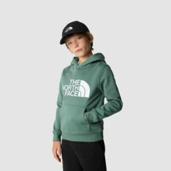 The North Face Sweat à Capuche Drew Peak Pour Garçon