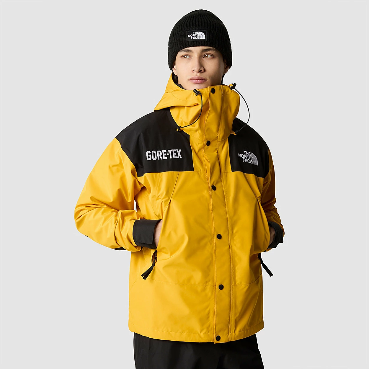The North Face Veste Mountain GORE-TEX® Pour Homme 1 The North Face Veste Mountain GORE-TEX® Pour Homme